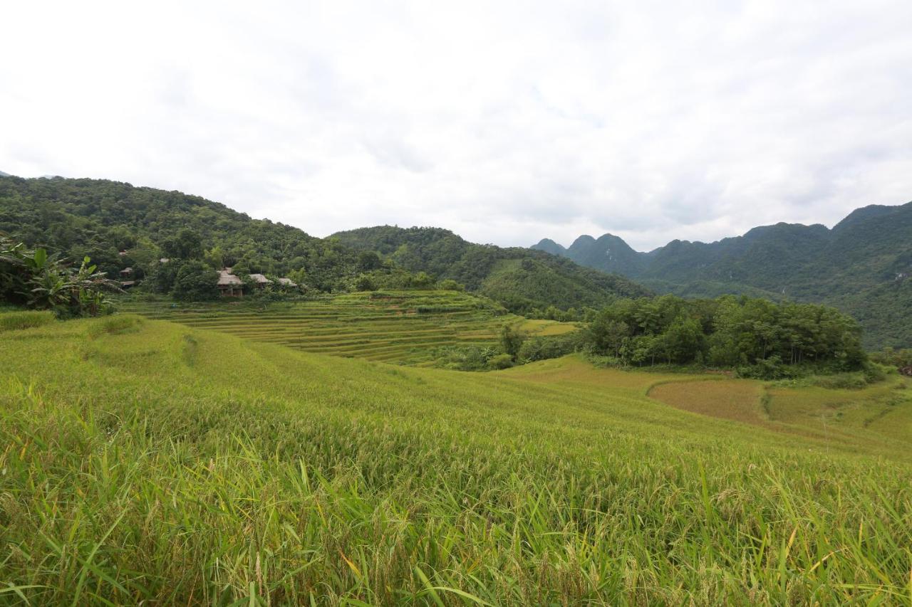 Pu Luong Ecolodge Eksteriør billede