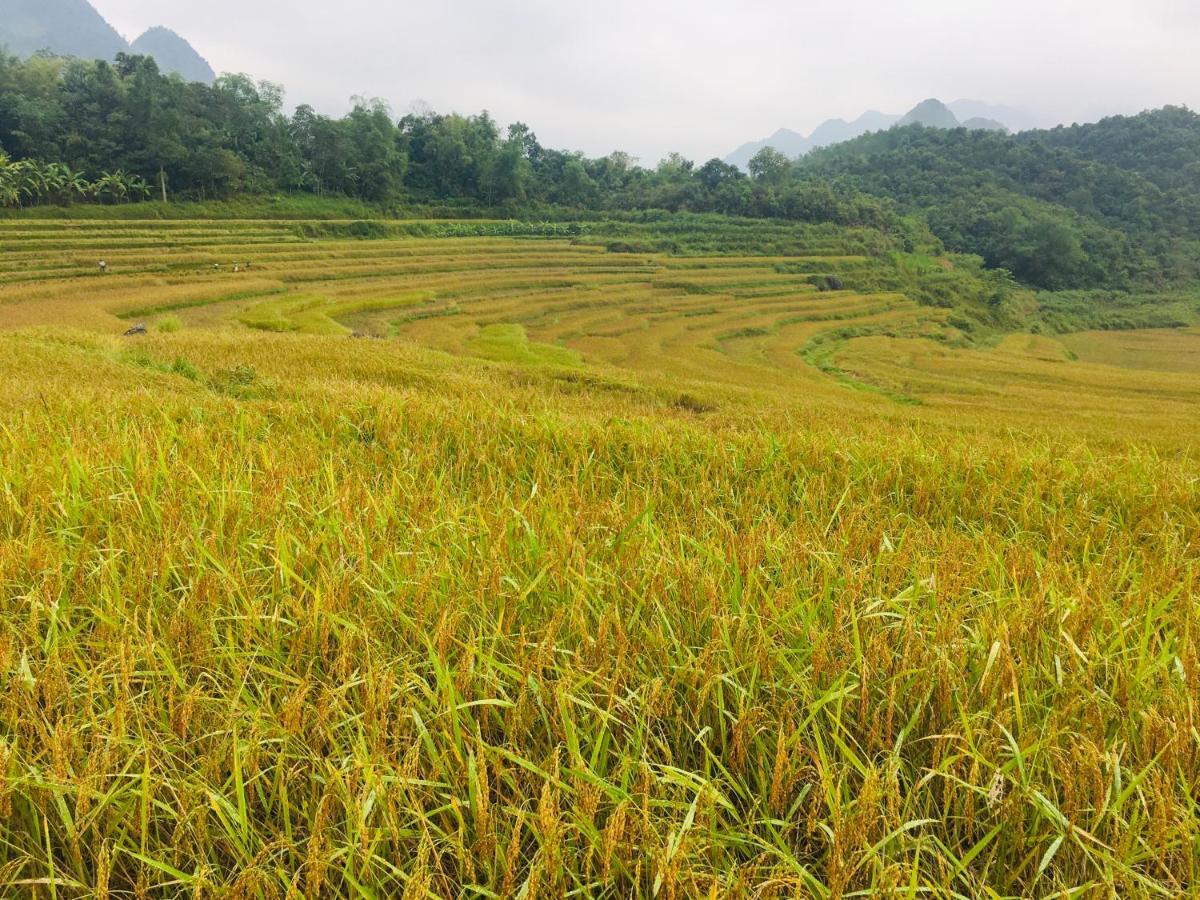 Pu Luong Ecolodge Eksteriør billede